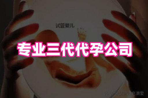 成都助孕网站 2